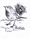 Robin