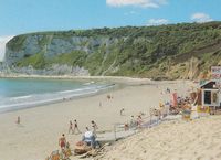 Picture of Whitecliff Bay, Beach