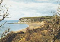 Picture of Whitecliff Bay