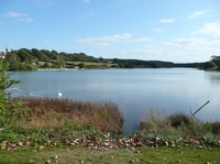 Picture of A peaceful scene on the Millpond