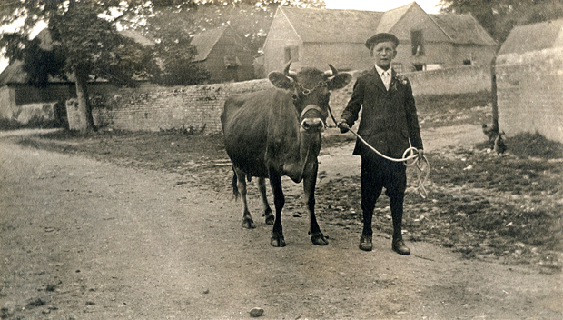 Picture of At Fernhill Farm 1910