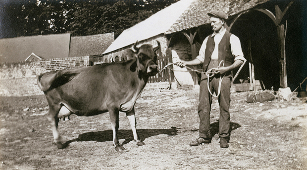 Picture of Fernhill Farm 1910