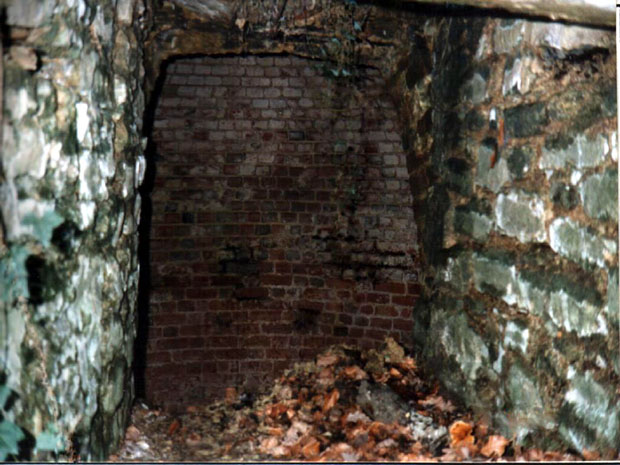 Picture of interior of Fernhill Ice House