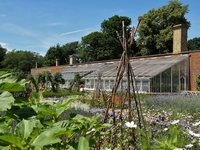 Picture of The Greenhouse, Osborne House