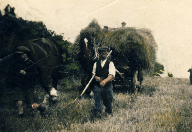 Picture of Haymaking at Wootton Farm circa 1920 ( Hand coloured image )
