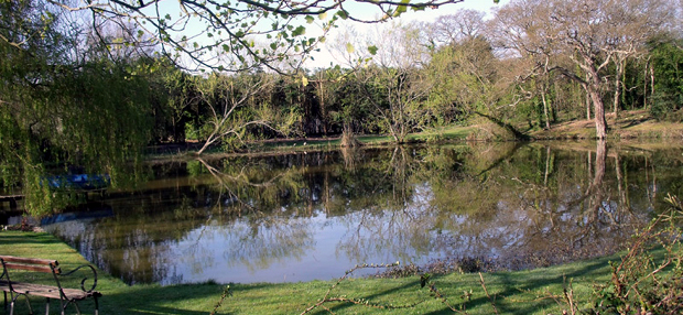 Picture of Newnham Farm pond