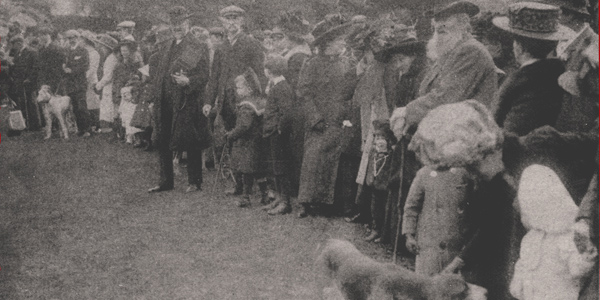 Castle Meet of I.W. Foxhounds 1910