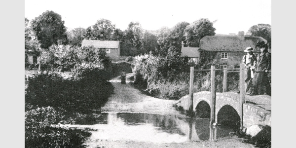 Froglands