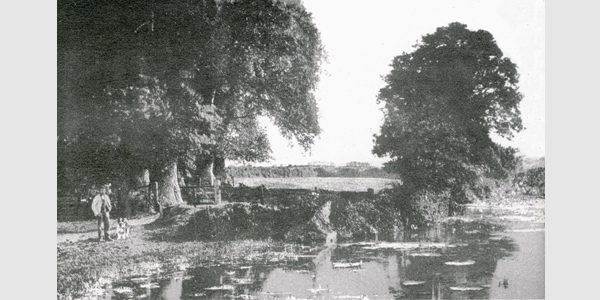 Sunlight and Shadow, 1906