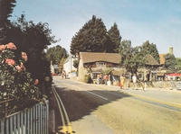 Picture Looking towards the Old Smithy, Godshill