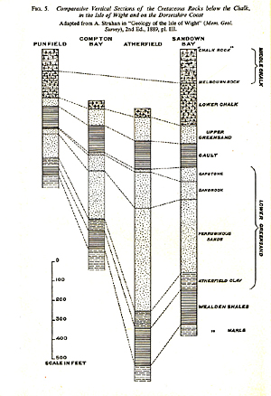 Diagram of Cretaceous Rocks