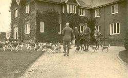 IOW Foot Beagles, The Grange circa 1906