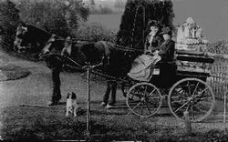 Horse and Trap circa 1910