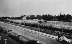 Farming Glebe land, High Street and Mr Please the builder circa 1925