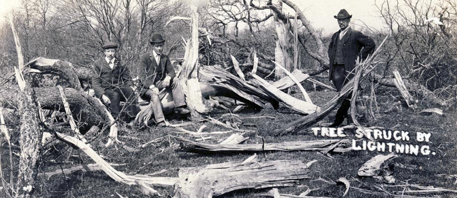 Tree Stuck by Lightening, Wootton 1907